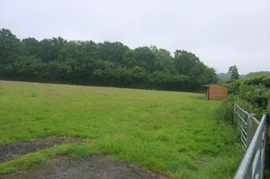 Photo 2- click for photo gallery